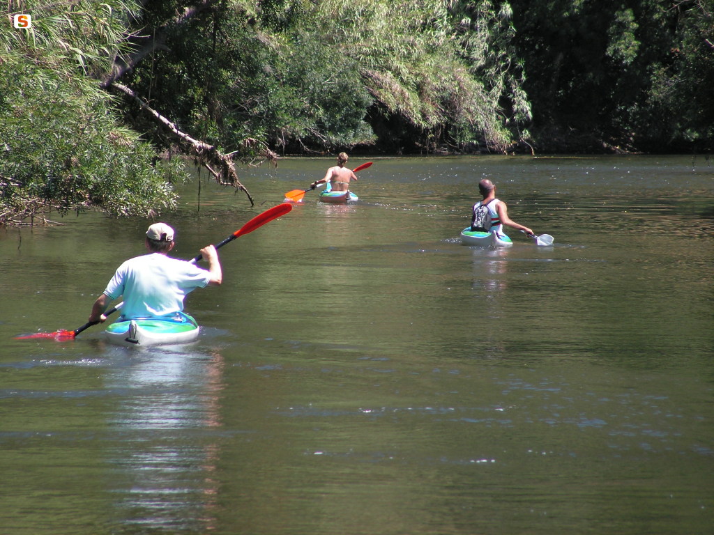 Kayak sul fiume Temo