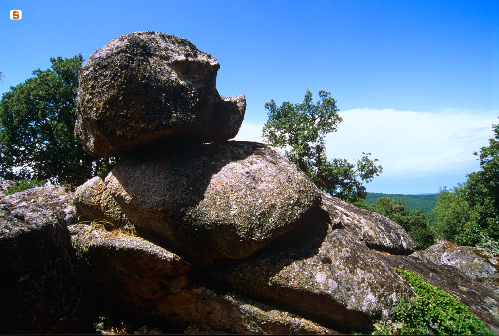 Graniti a Nodu Longu, Sa Fraigada, foresta di Fiorentini