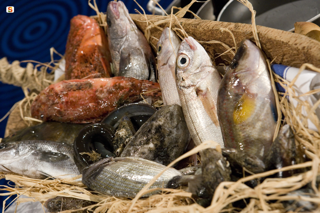 Piatto di pesce e frutti di mare
