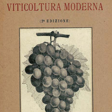 viticoltura