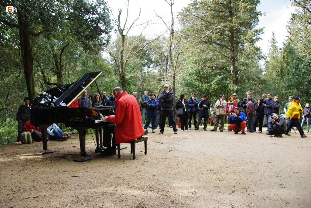 Foreste Aperte: il pianista Dado Moroni suona nel bosco