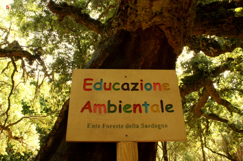 Educazione Ambientale