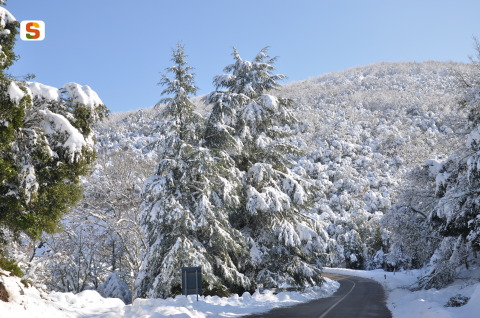 Neve lungo la provinciale da monte Pisanu a Bono [480x318]