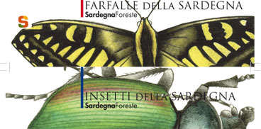 Farfalle ed Insetti della Sardegna