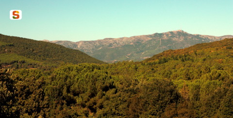 Panorama verso Serpeddì [480x244]