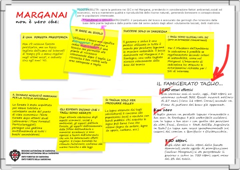 Infografica sulla questione Marganai [480x339]