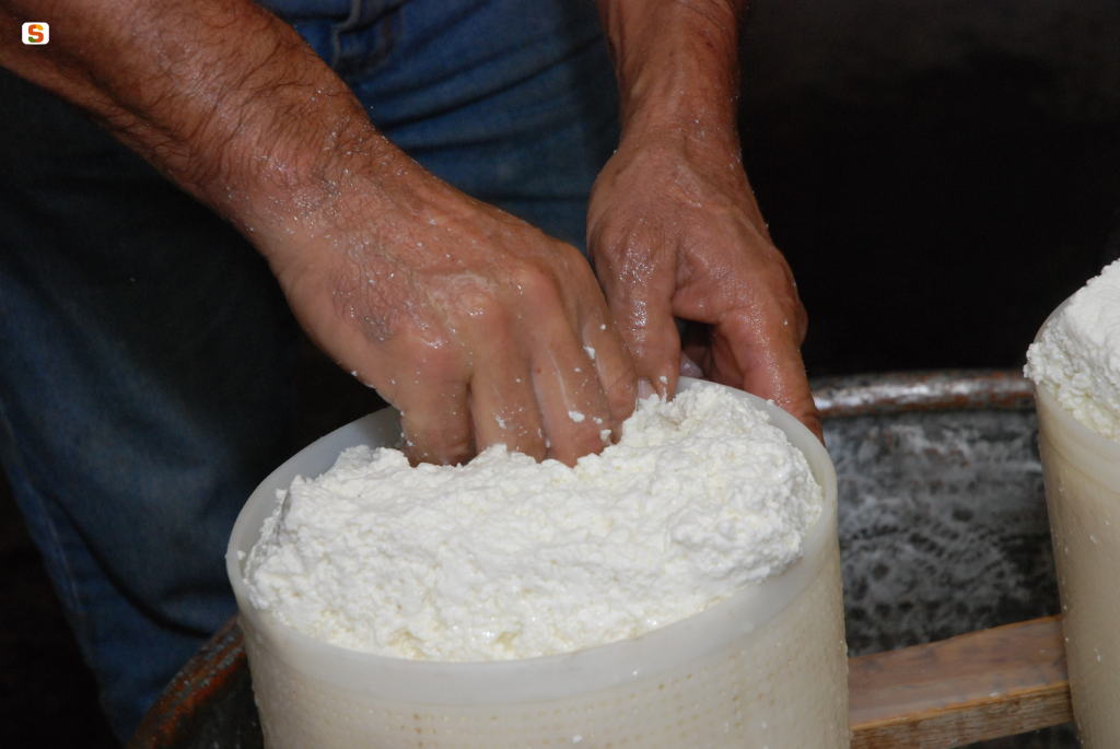Lavorazione artigianale di formaggi