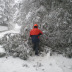 Anela, rimozione albero caduto a causa di forte nevicata [72x72]