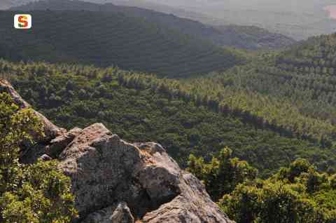 Monte Arci, panorama [480x318]