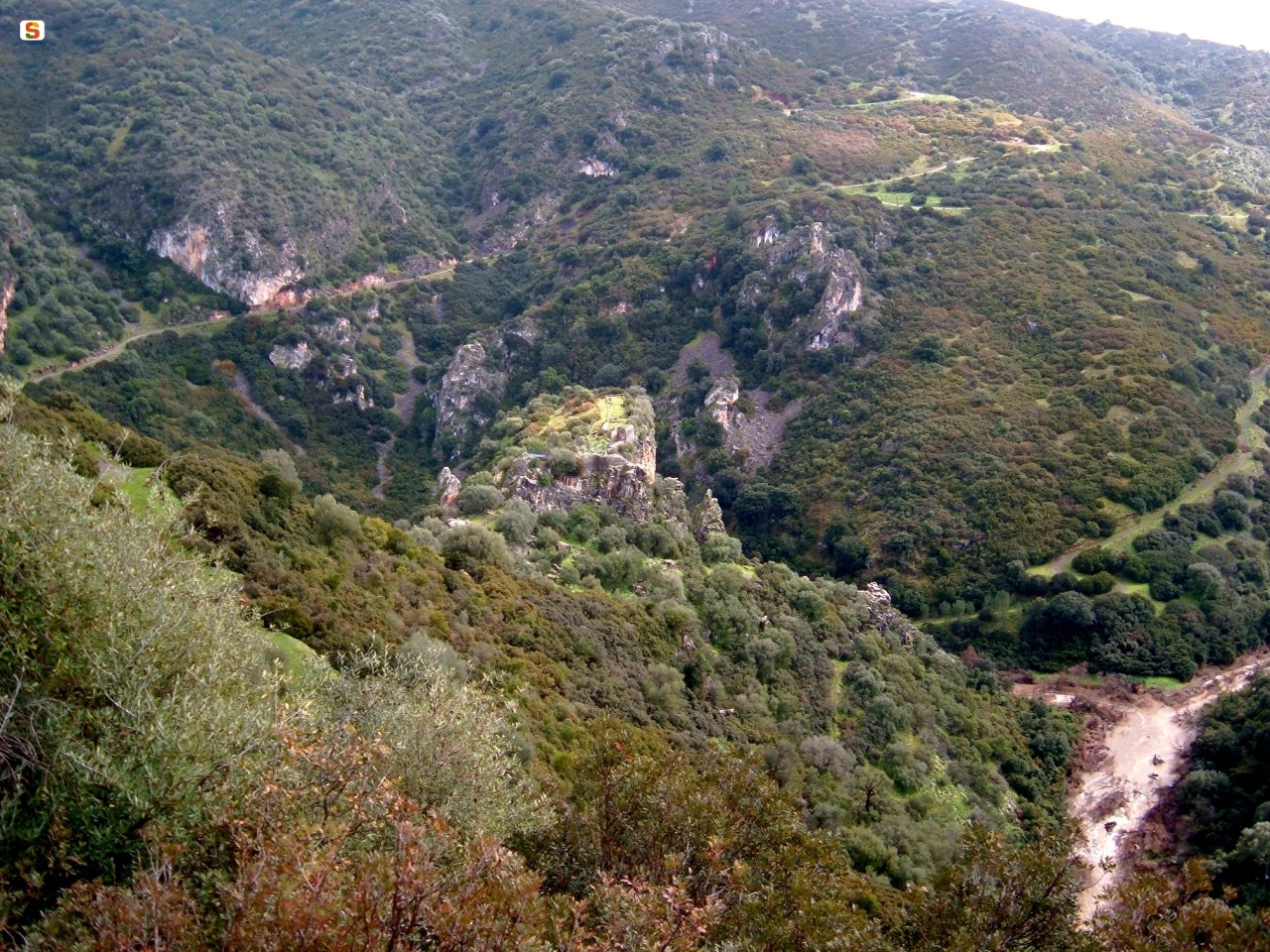 Panorama del cantiere forestale di Modighina