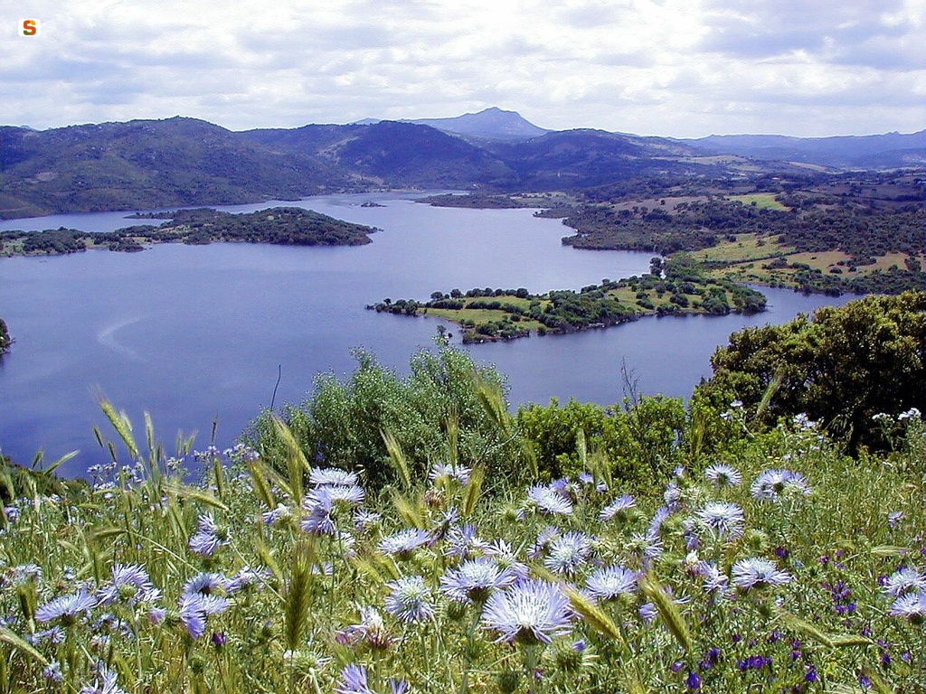 Panorama del lago Liscia