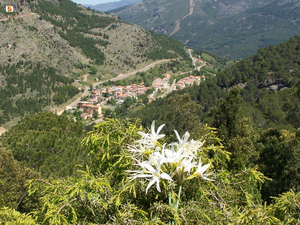 Gairo, panorama della frazione di Taquisara