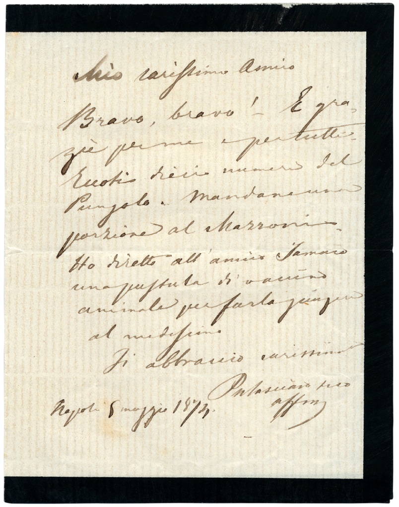 Lettera manoscritta inviata da F. Palasciano a Giorgio Asproni : 5