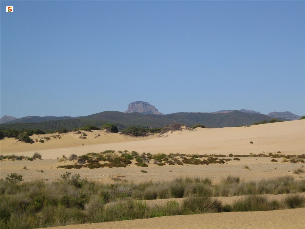 Arbus, Piscinas: le dune