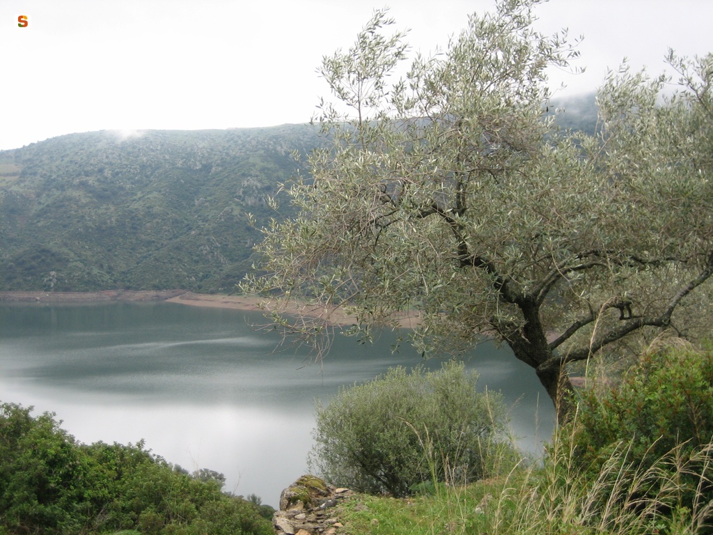 Lago Flumendosa, 6