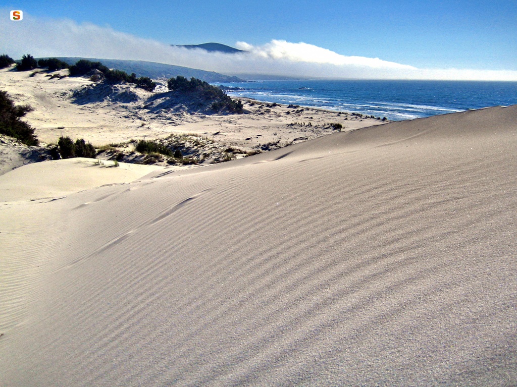 Teulada, le dune di Porto Pino