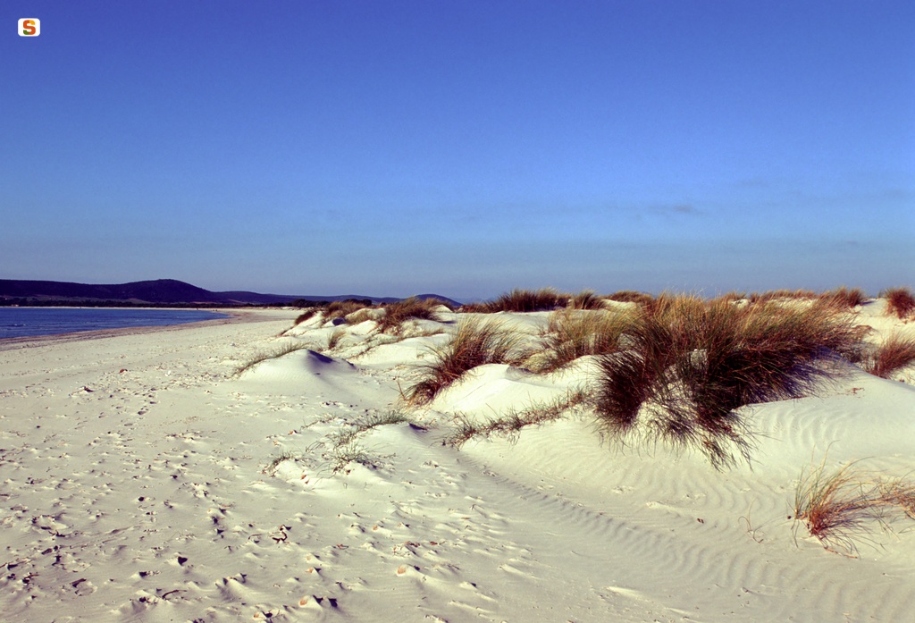 Arbus, dune in località Piscinas