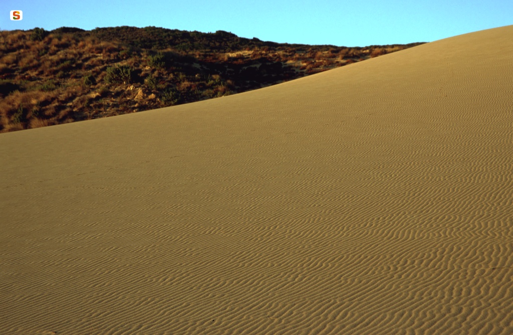 Arbus, le dune di Piscinas