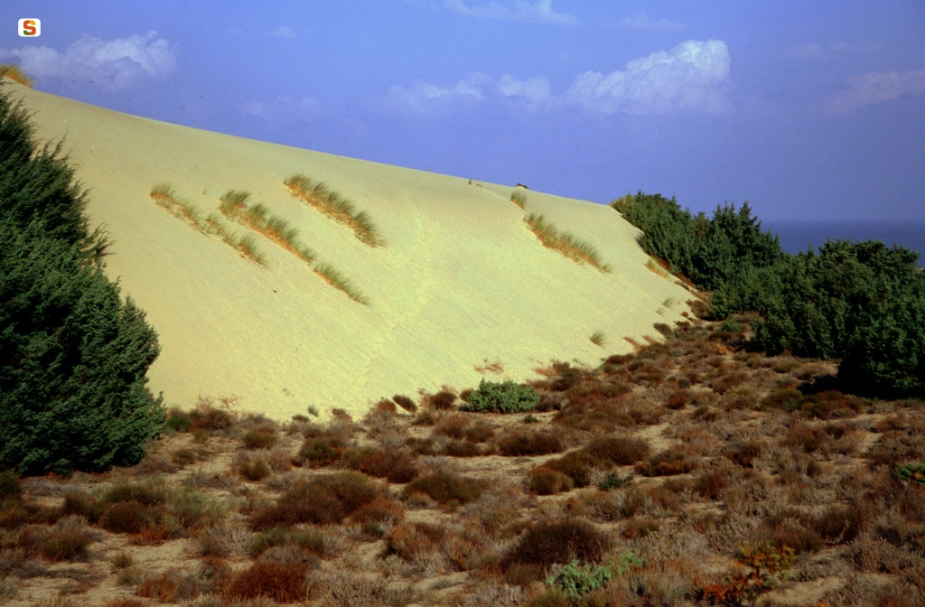 Arbus, fronte di una duna di Piscinas