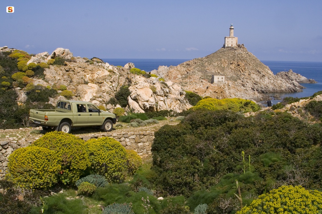 Isola dell'Asinara, Punta Scorno