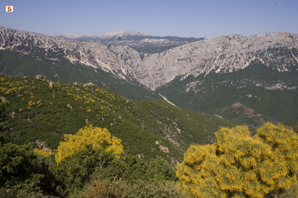 Veduta della zona montuosa di Urzulei e Dorgali