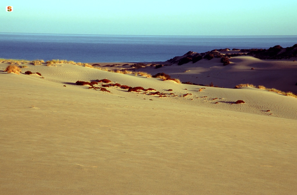 Arbus, le dune della spiaggia di Piscinas