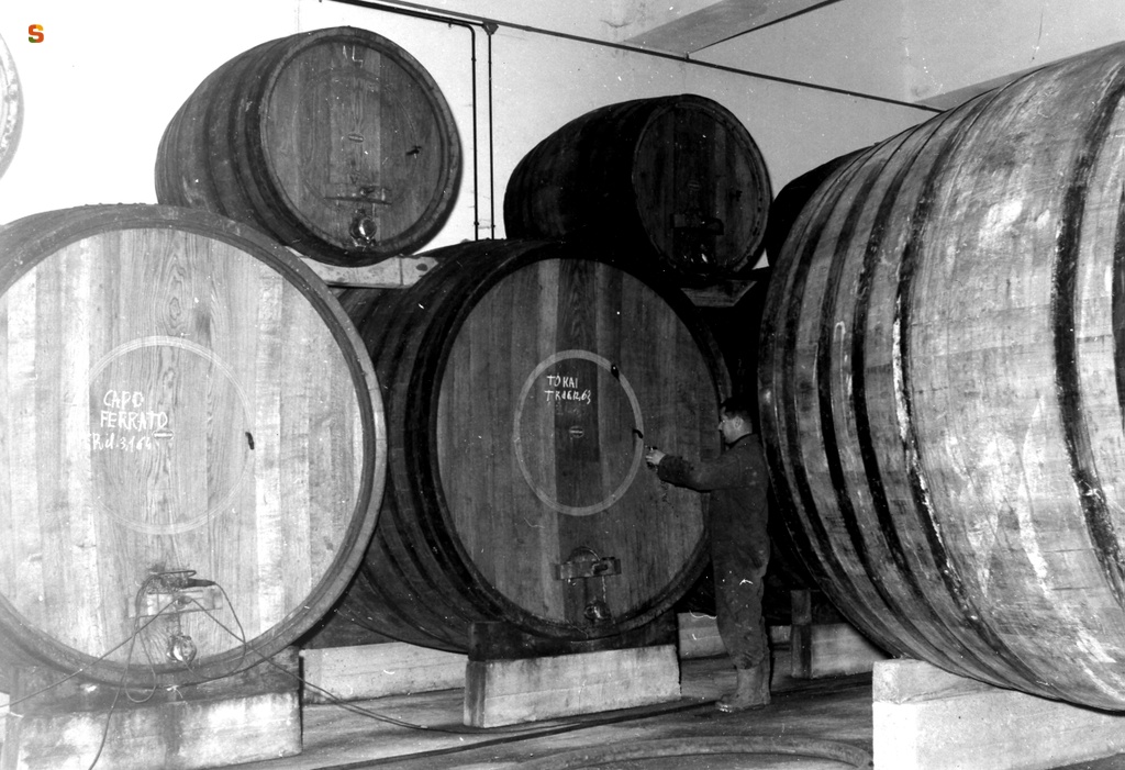 Botti per l'invecchiamento del vino all'interno dell'enopolio di Castiadas