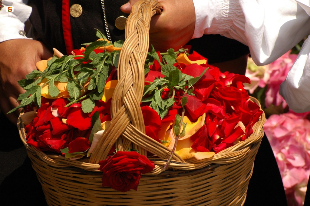 Fiori e petali da spargere per il rito de sa ramadura