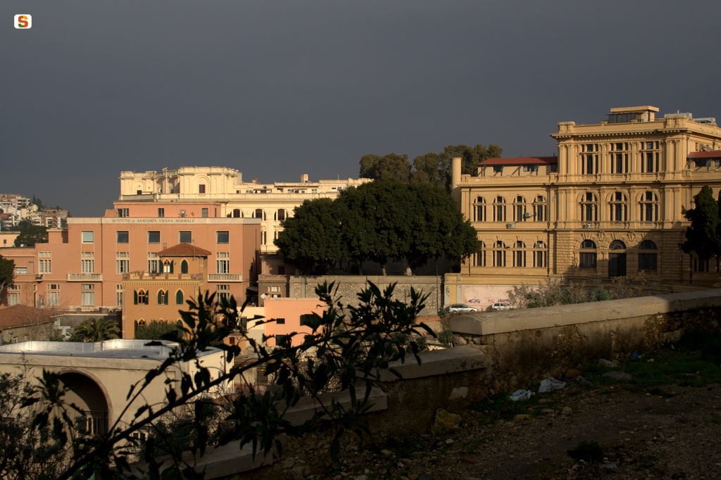 Cagliari, istituto anatomia e palazzo delle scienze