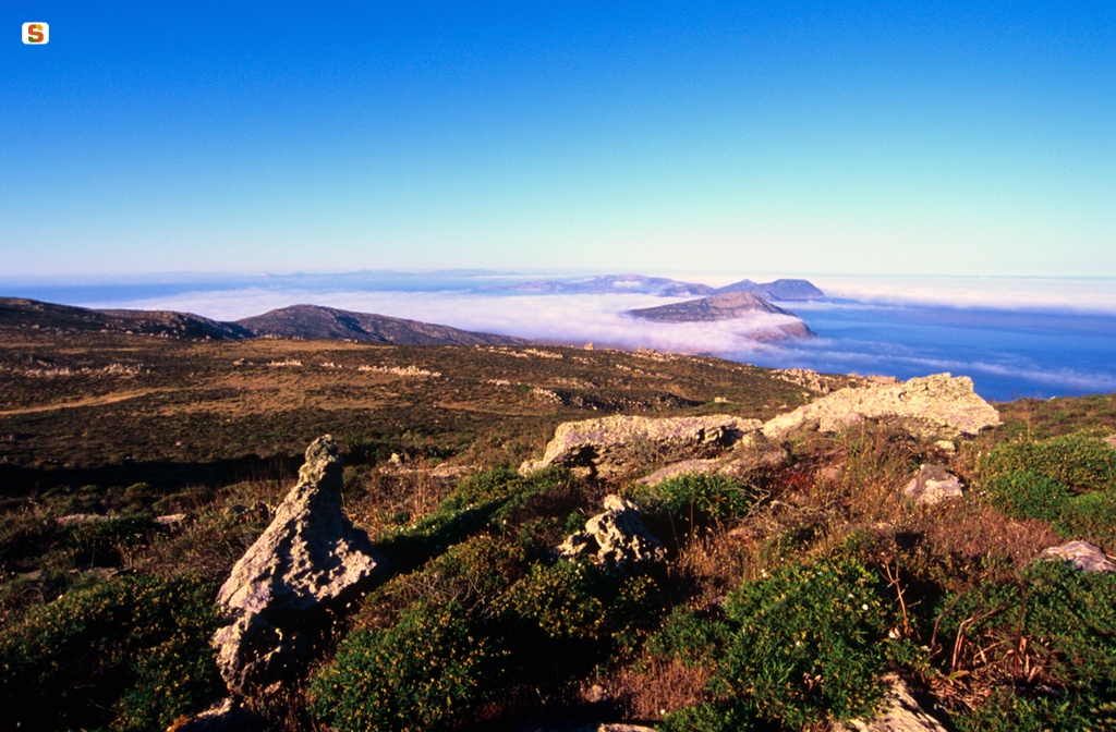 Panorama dell'Asinara della parte sud-occidentale