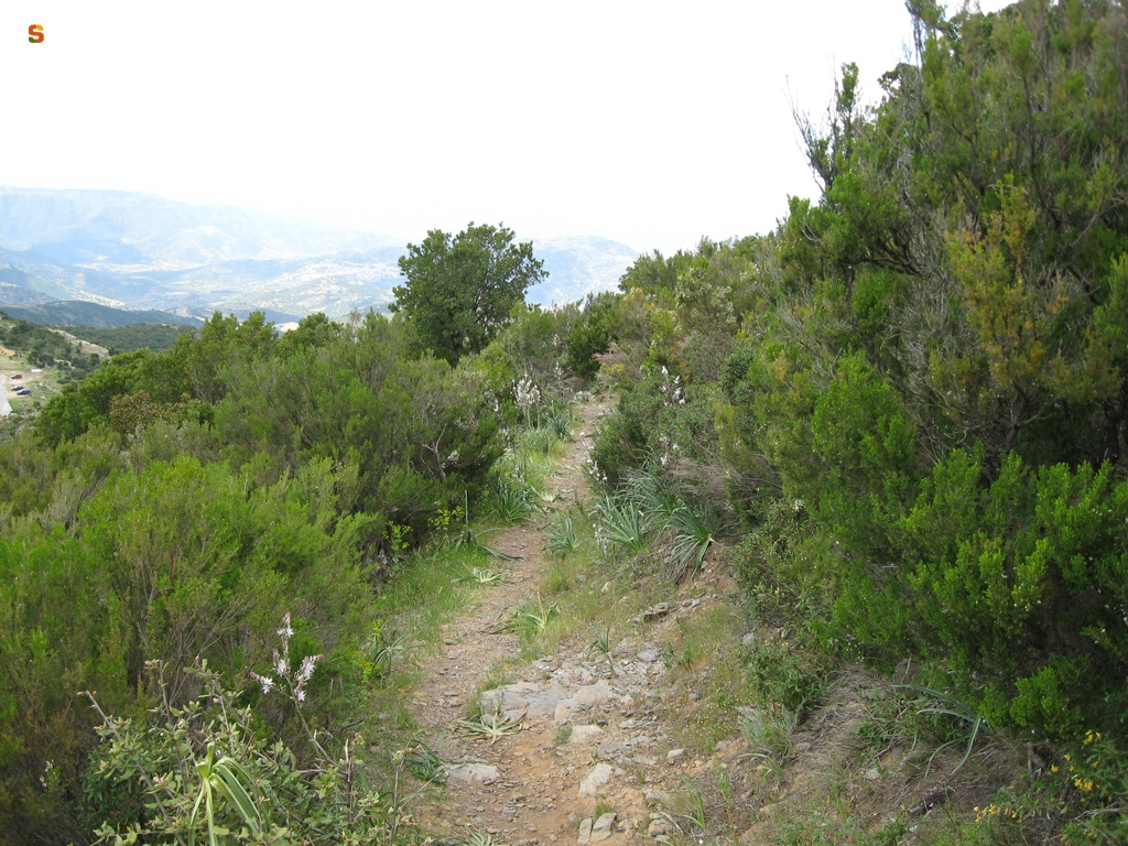 Veduta del sentiero Guzzurra - Sa 'e Talisi