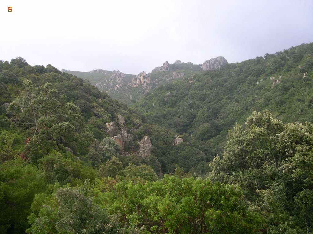 Panorama sul canale boscato