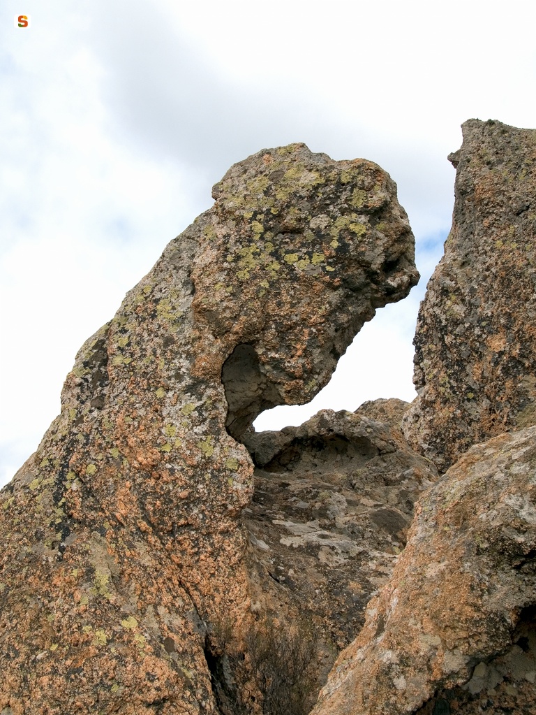 Graniti nella località Nuraghe su Gattu