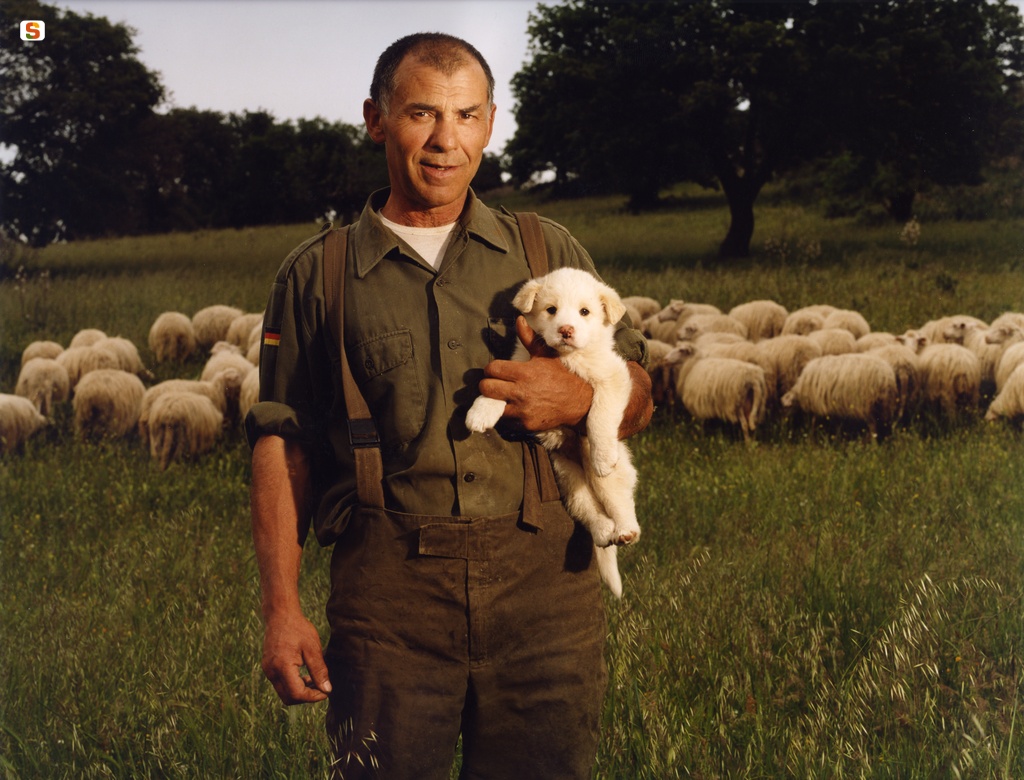 Un pastore con in braccio un cucciolo di maremmano