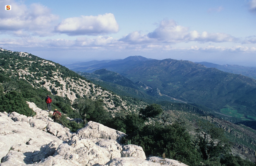 Siniscola, veduta del monte Albo