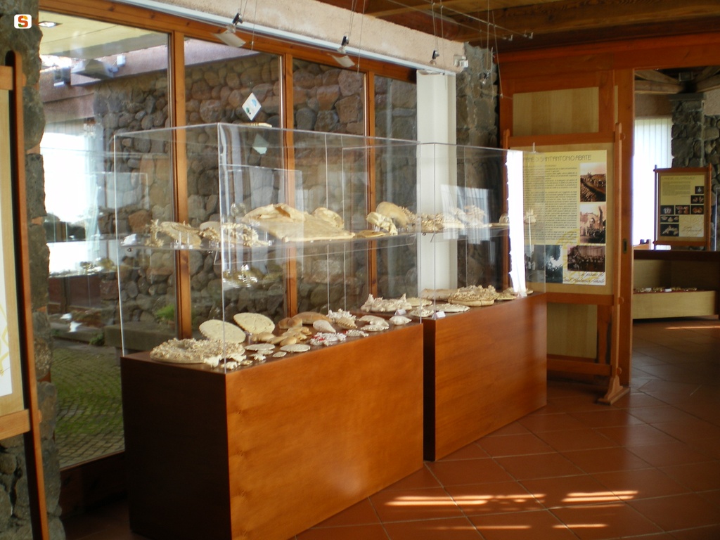 Borore, Museo del pane rituale: teca espositiva