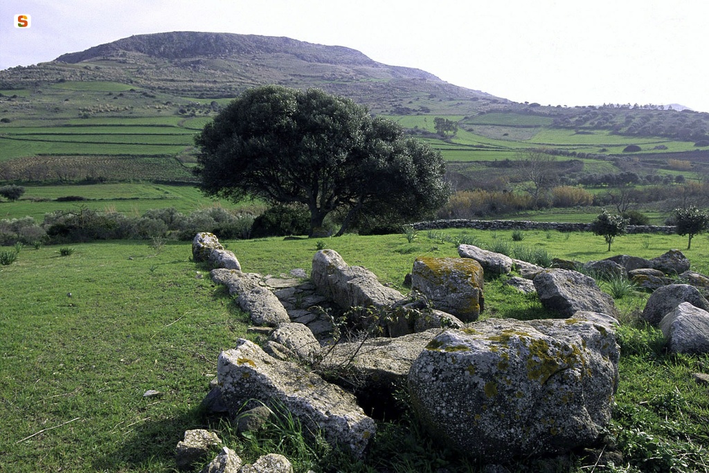 Collinas, area archeologica