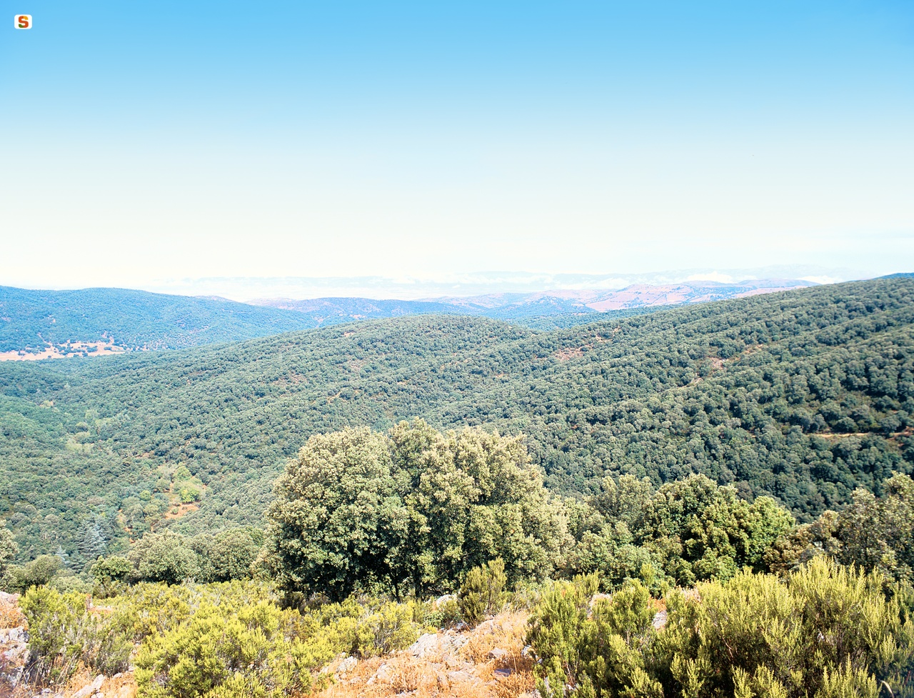 Montes, Panorama