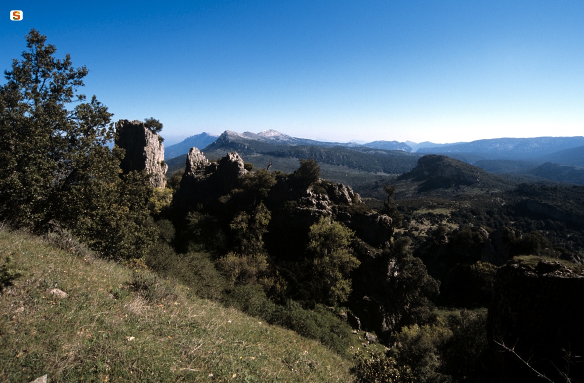 Montes, panorama verso il Supramonte  di Oliena.
