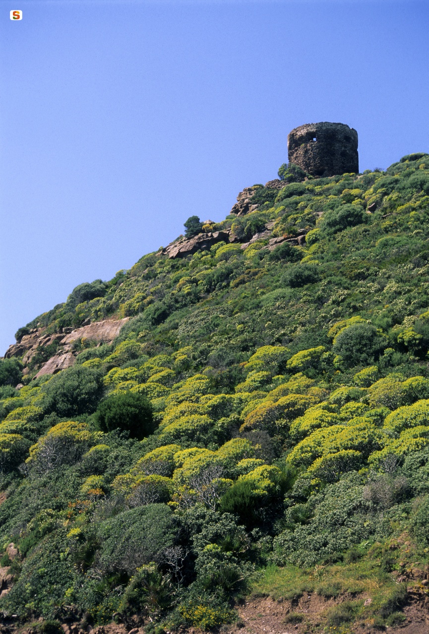 Tresnuraghes, paesaggio con la torre di Foghe