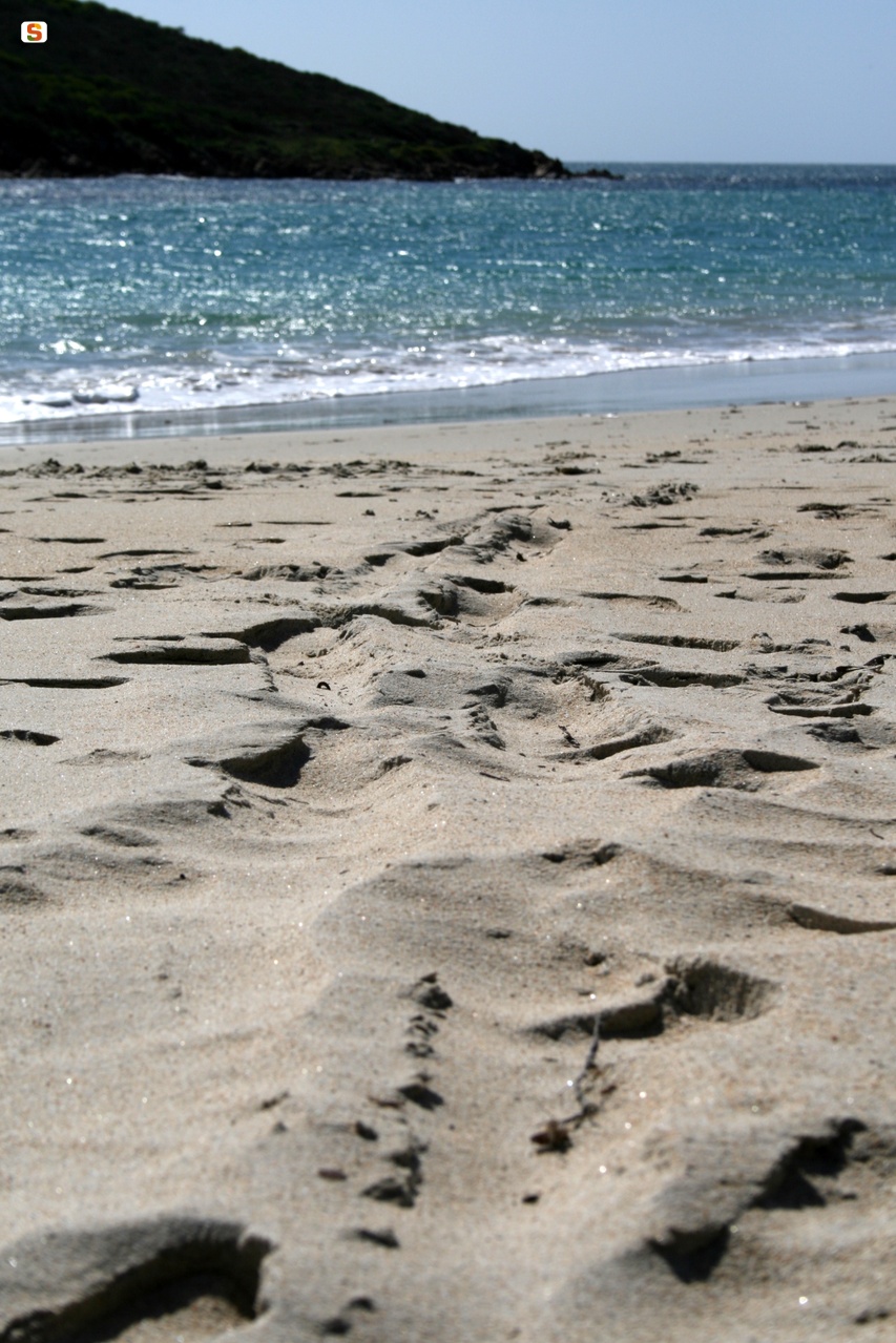 La sabbia di Tuerredda