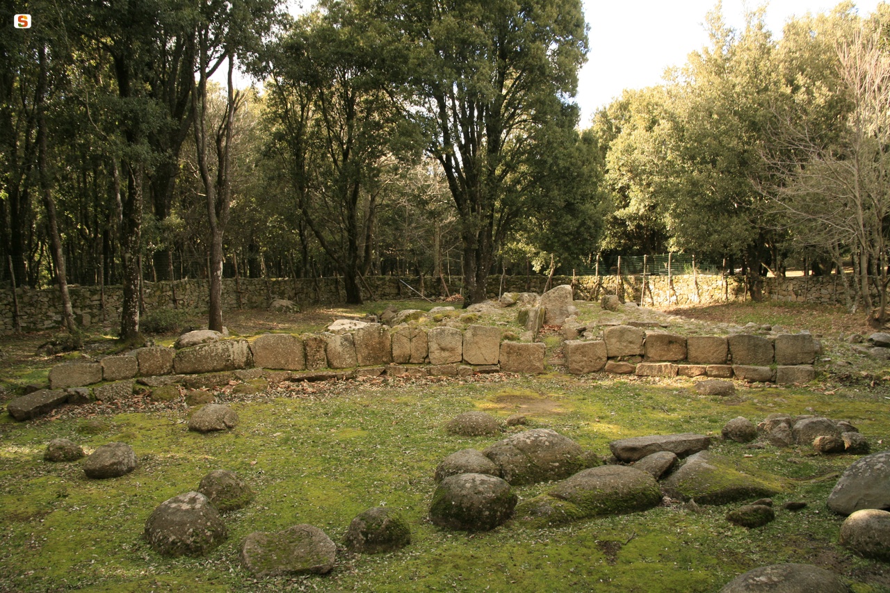 Parco archeologico, bosco Selene
