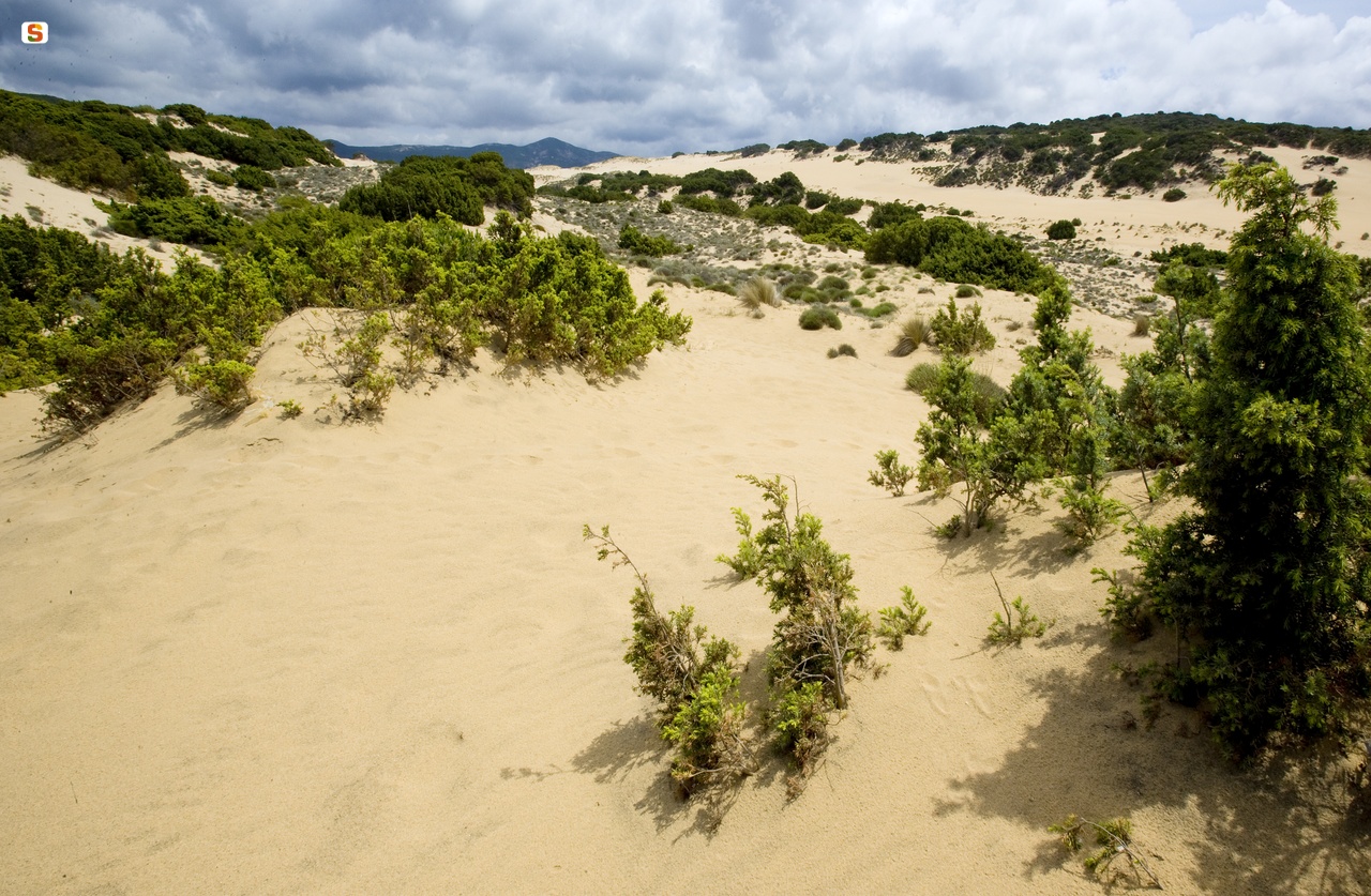 Arbus, spiaggia con le dune