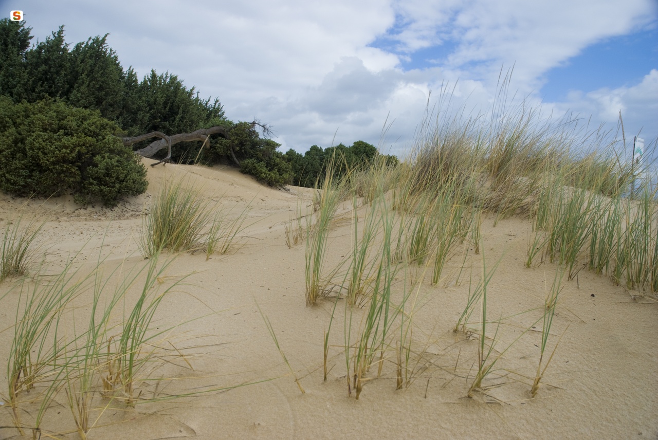 Paesaggio con le dune