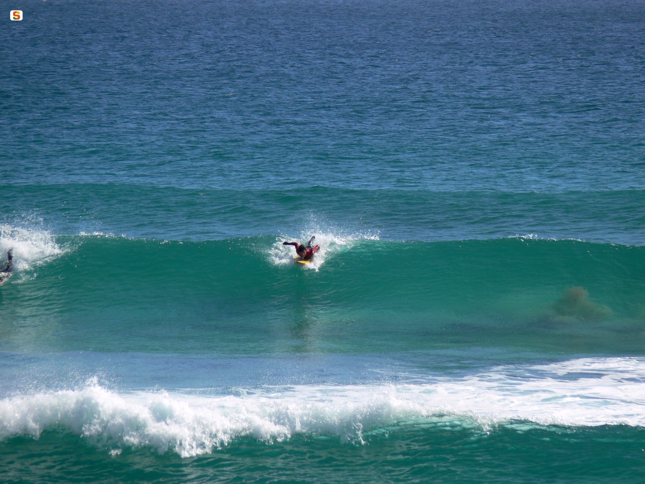 Mare di Chia, surfista