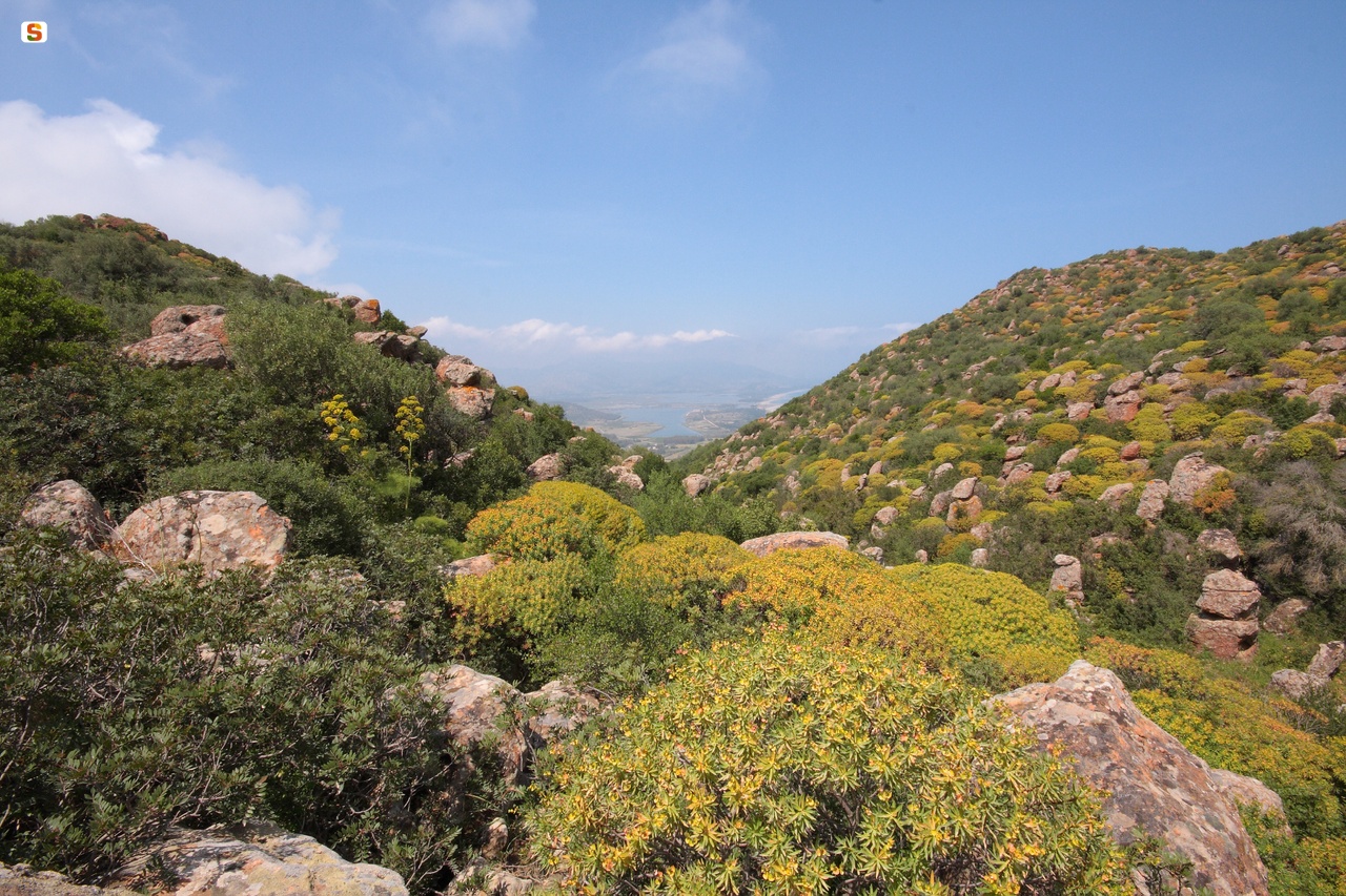 Panorama dal Monte Ferru