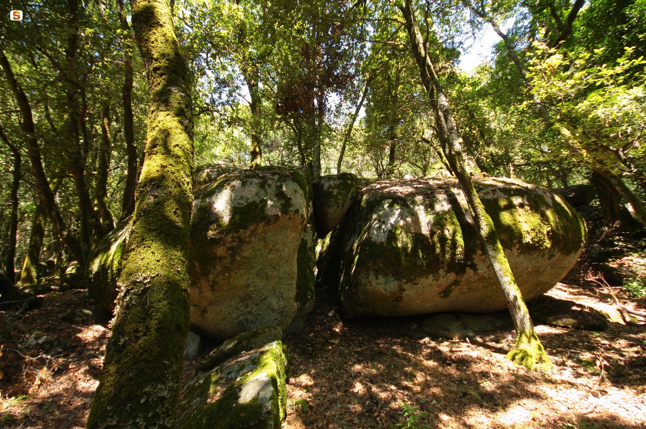 Massi di granito, foresta di Fiorentini