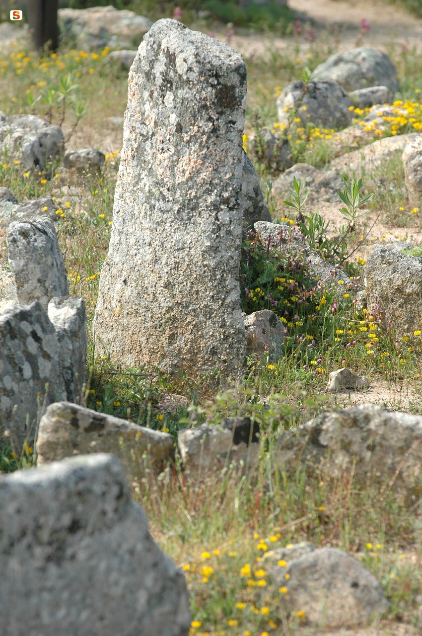 Arzachena, circoli megalitici di Li Muri