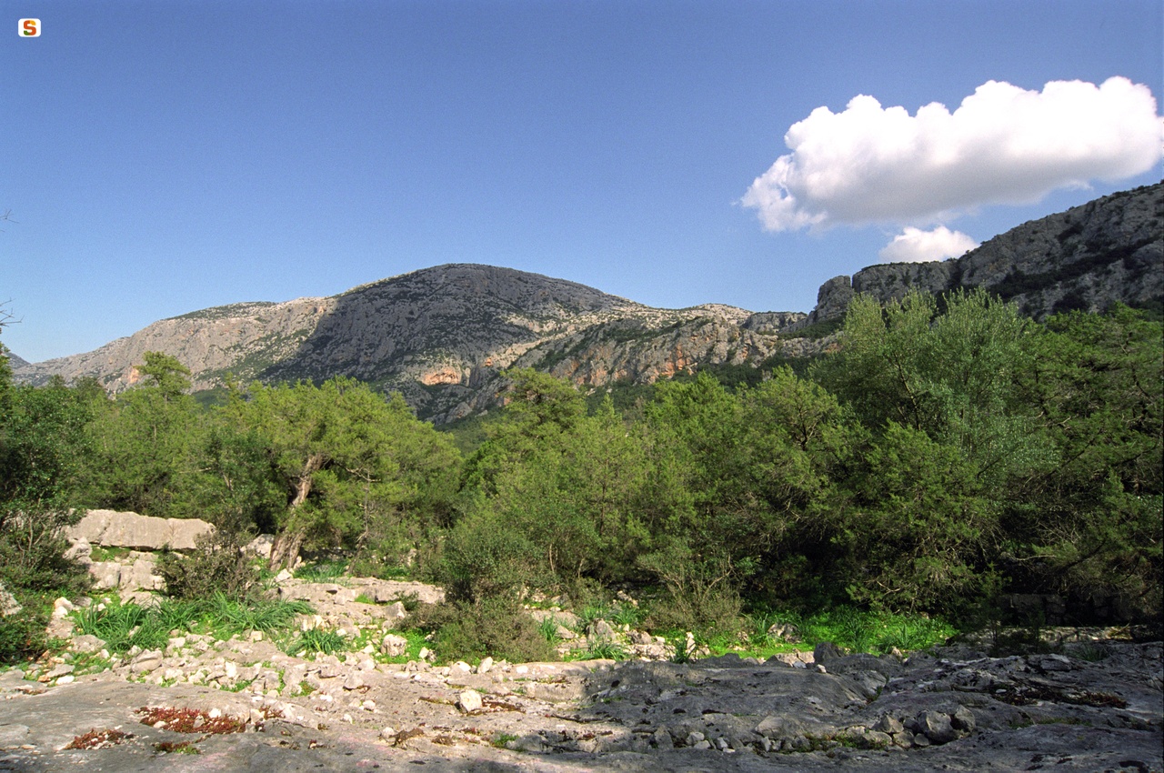 Panorama verso Monte Tiscali