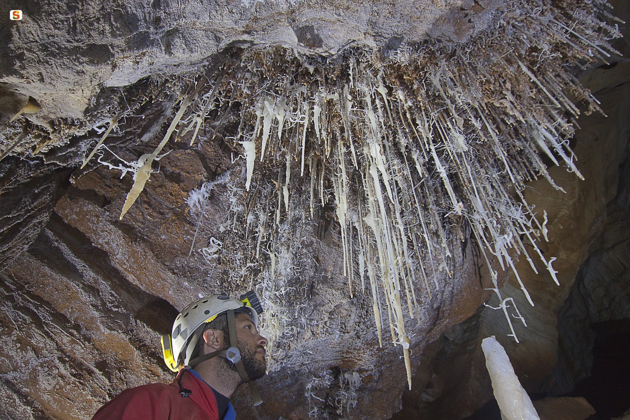 Dorgali, Grotta del Bue Marino - Cannule